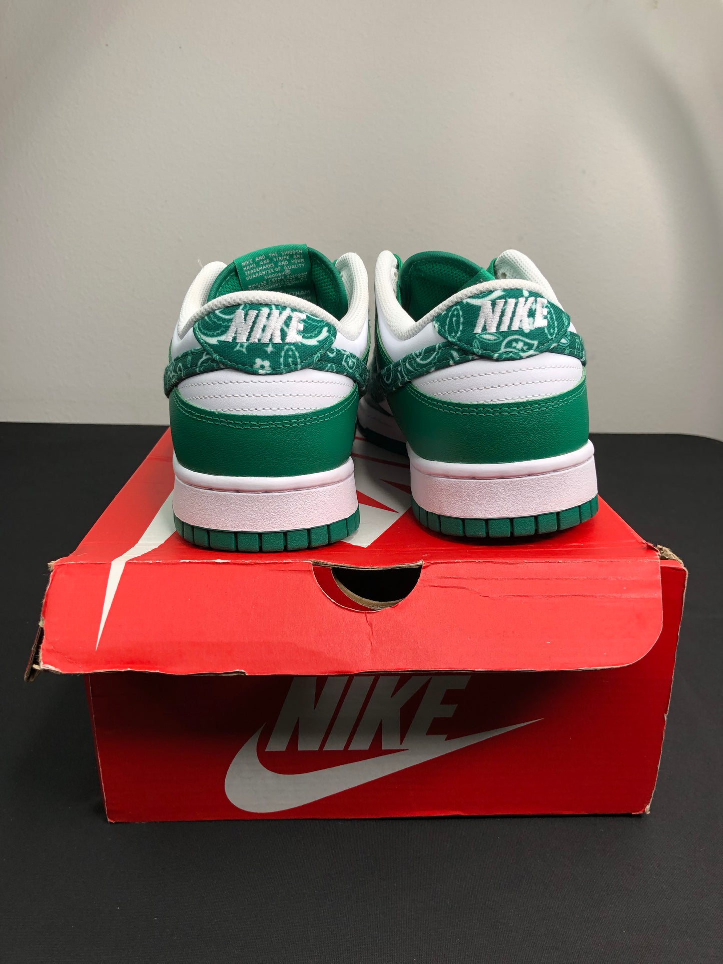 Nike Dunk Low “Paisley Green” (Women) (Preowned)