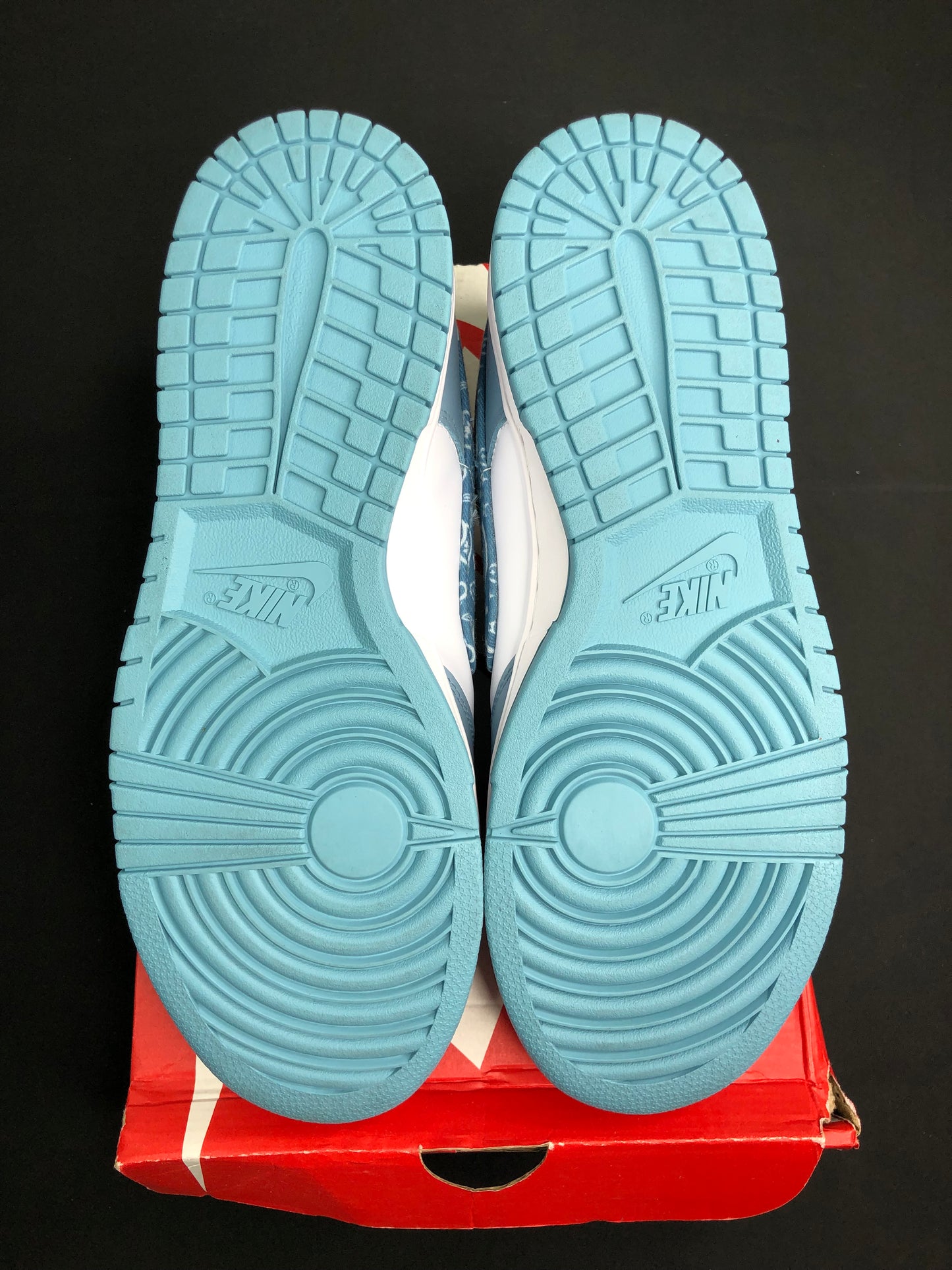 Nike Dunk Low “Paisley Blue” (Women) (Preowned)