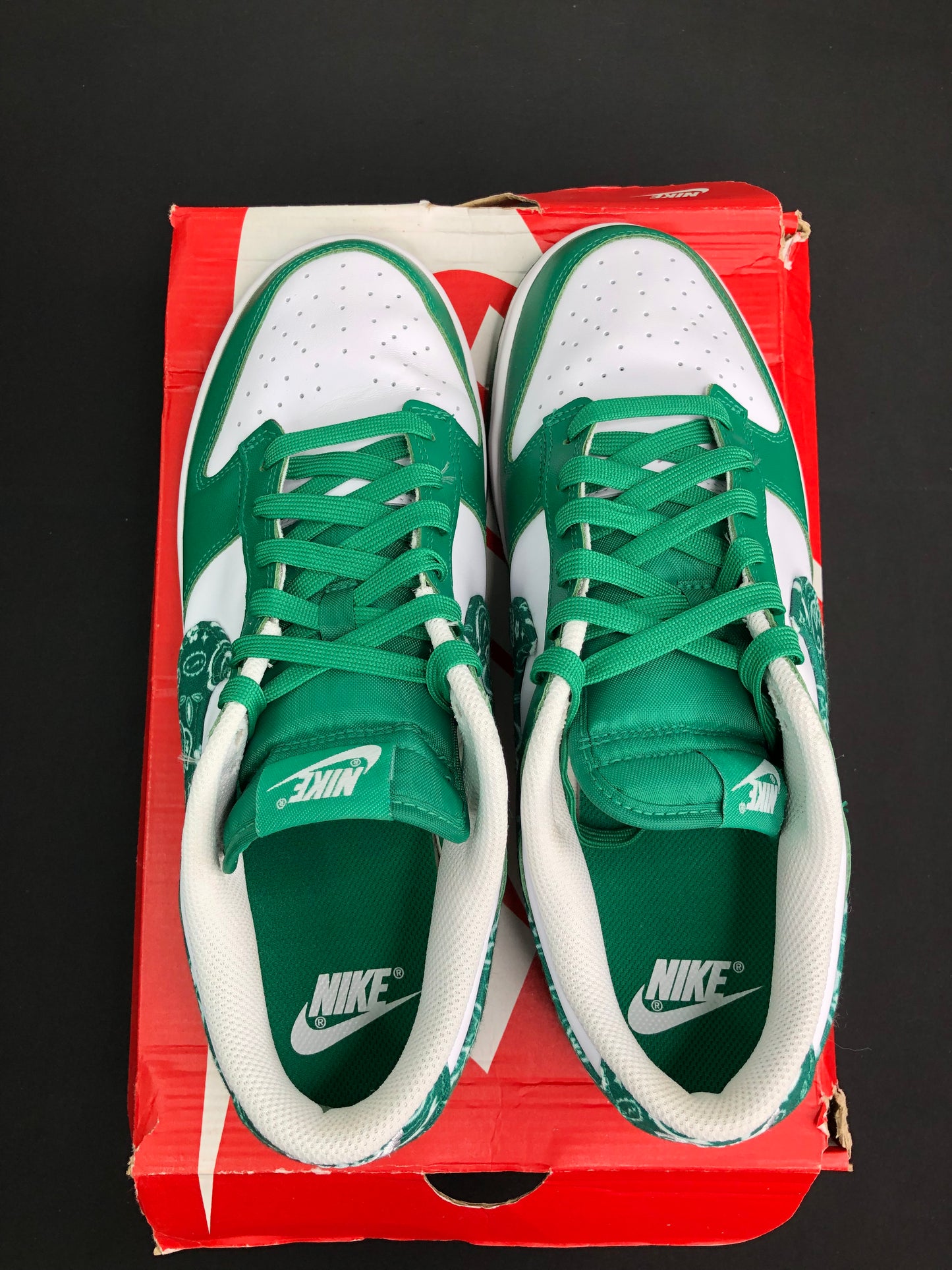 Nike Dunk Low “Paisley Green” (Women) (Preowned)