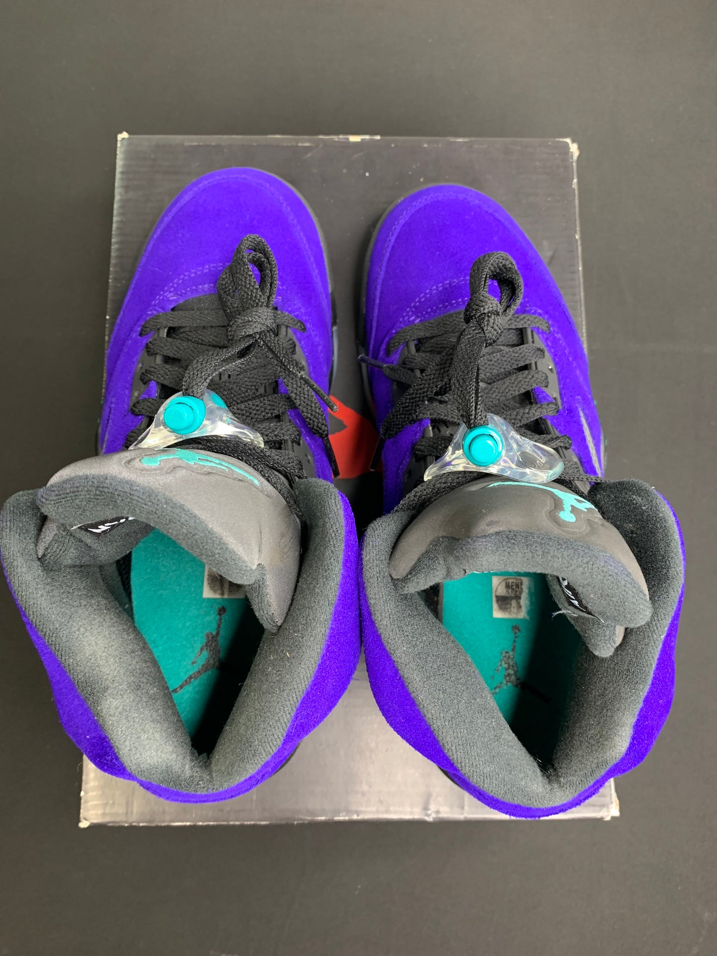 Air Jordan 5 Retro “Alternate Grape” (Preowned)