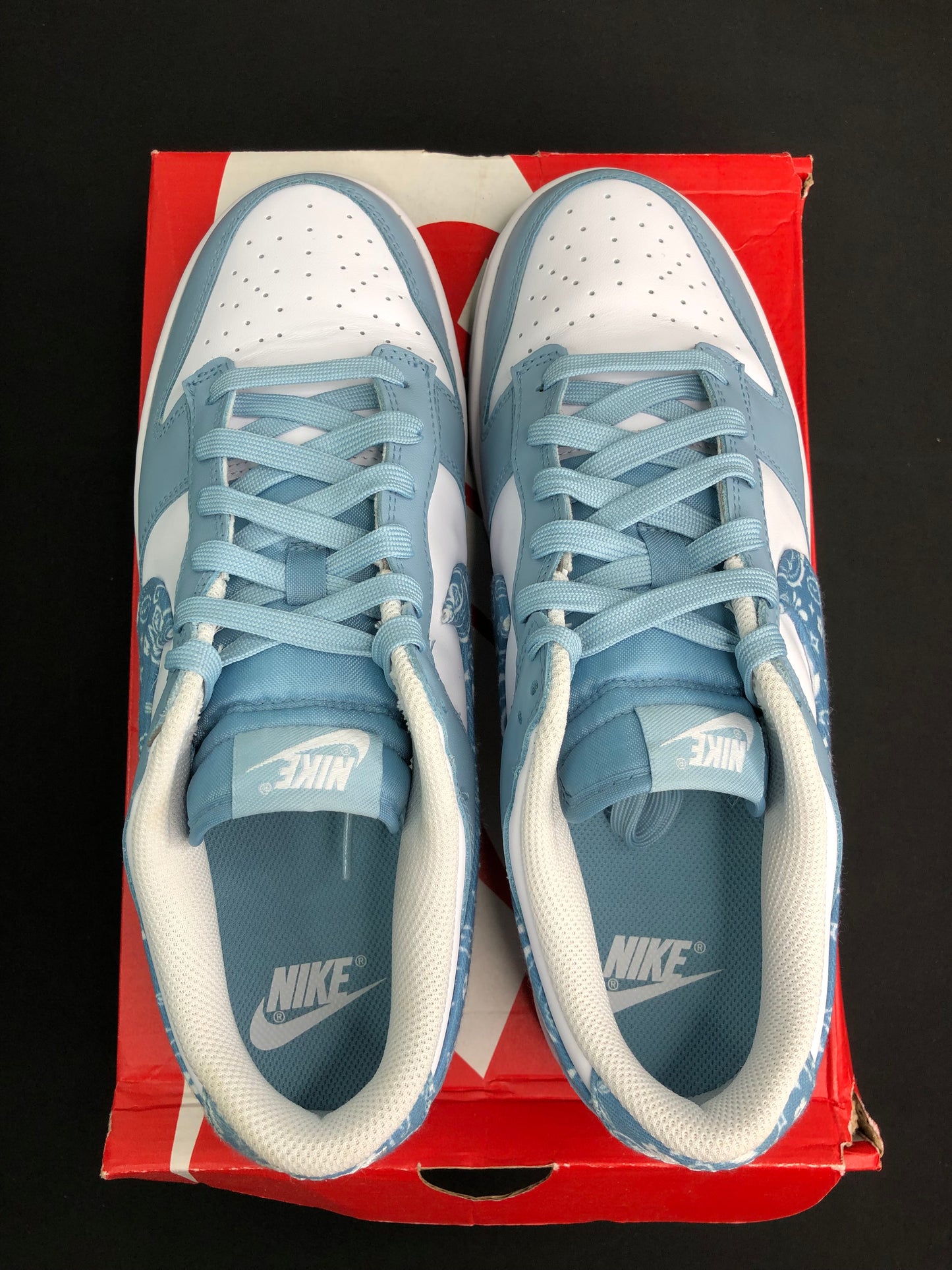 Nike Dunk Low “Paisley Blue” (Women) (Preowned)