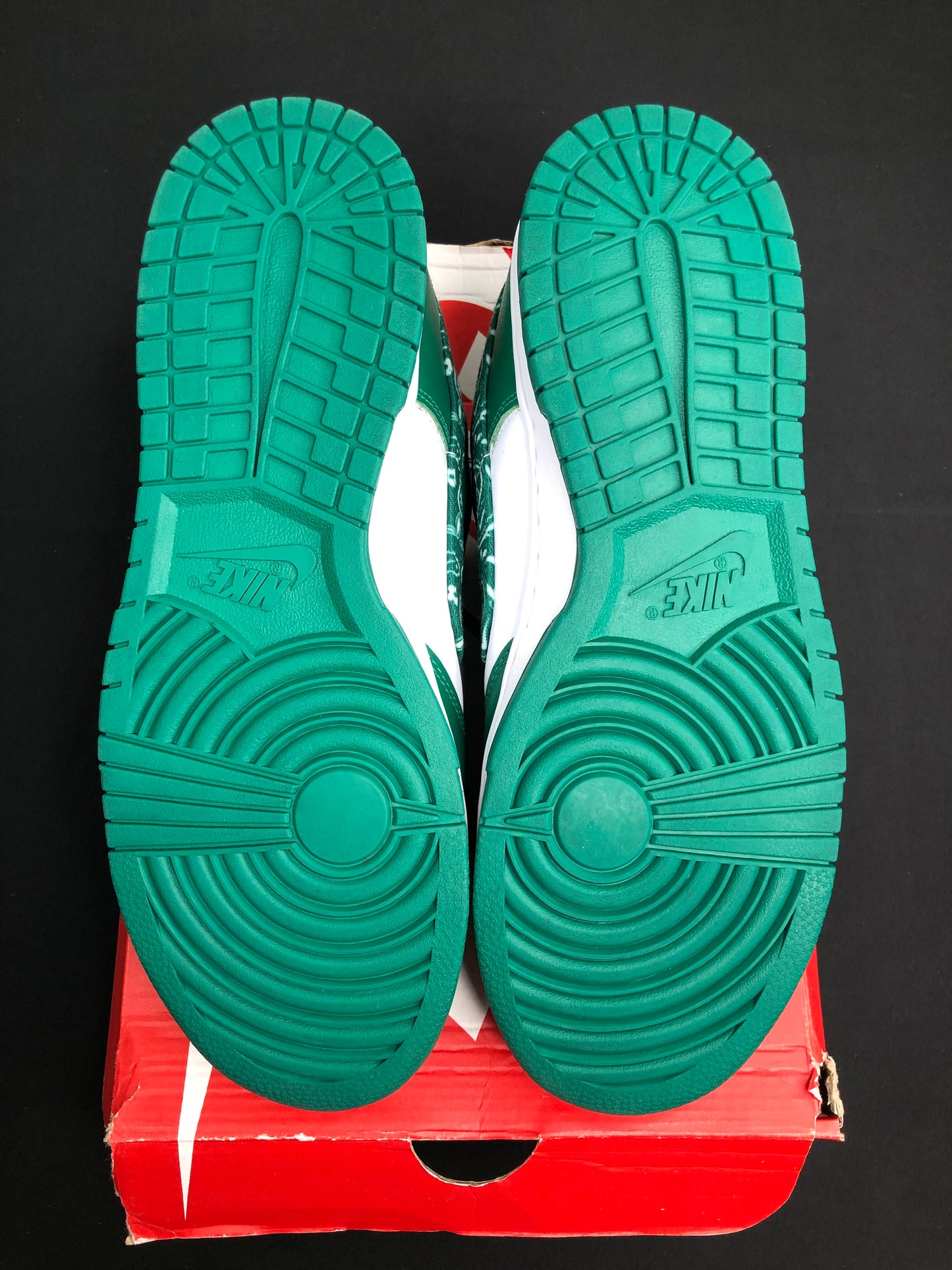 Nike Dunk Low “Paisley Green” (Women) (Preowned)