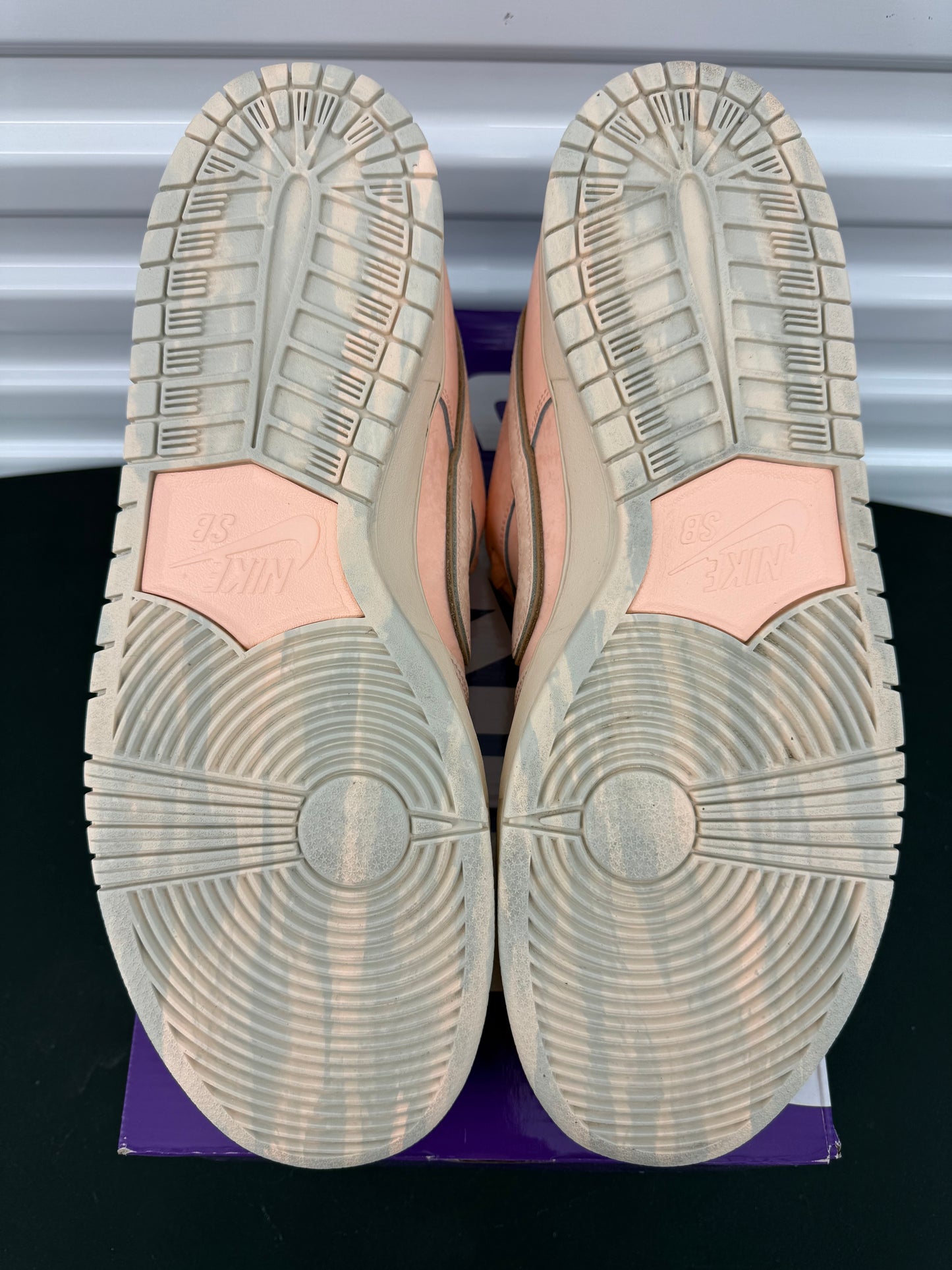 Nike Dunk Low SB “Trocadéro Gardens” (Preowned)