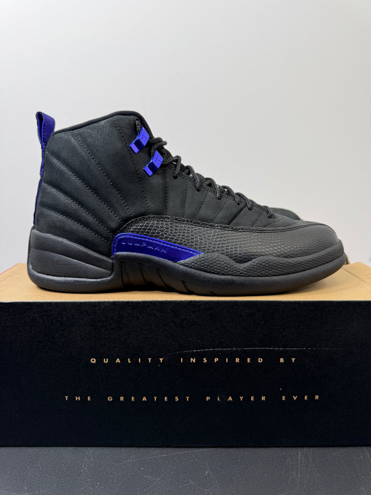 Air Jordan 12 “Dark Concord” (Very Lightly Worn)