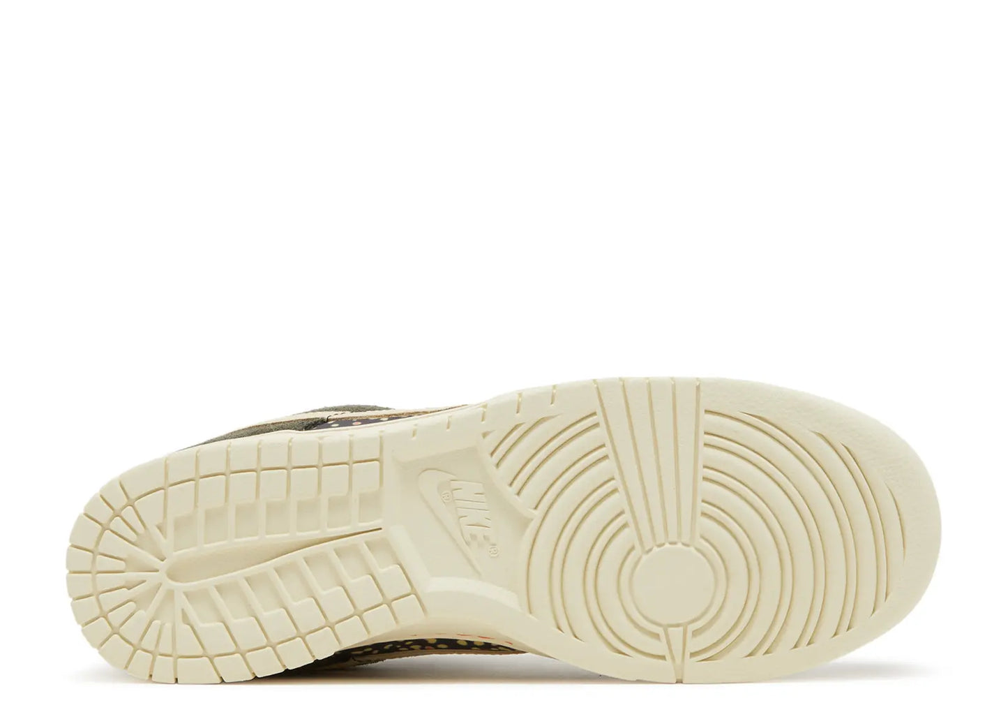 Nike Dunk Low SE “Rainbow Trout”