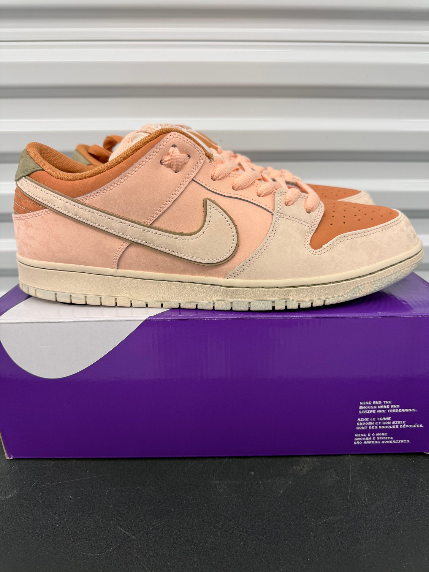 Nike Dunk Low SB “Trocadéro Gardens” (Preowned)
