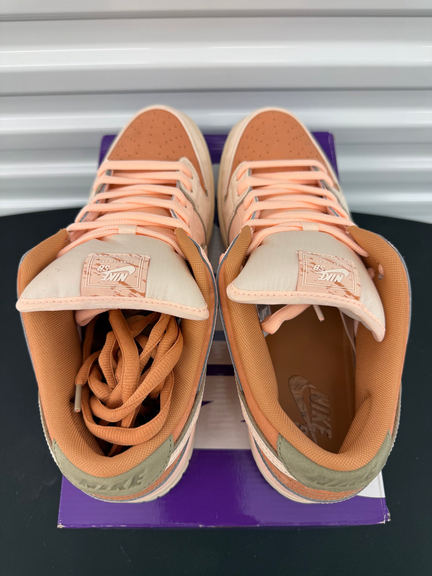 Nike Dunk Low SB “Trocadéro Gardens” (Preowned)