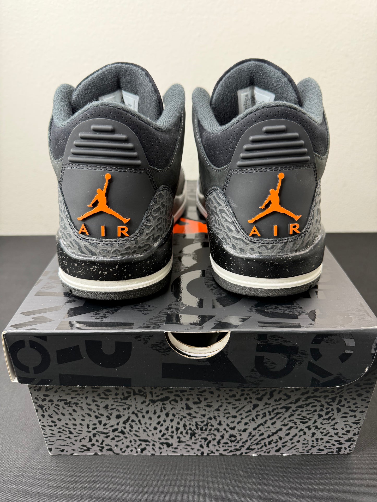 Air Jordan 3 “Fear” (2023) (Preowned)